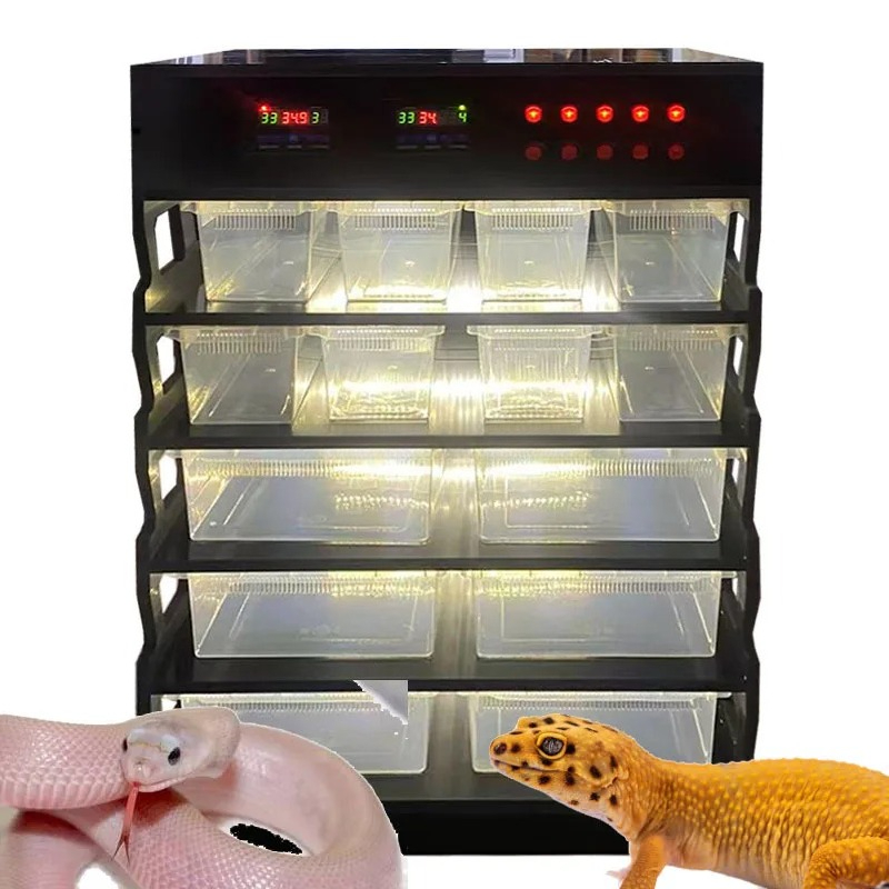 Gecko Lighting & Decor - Inteligentne meble dla gadów z PVC,
