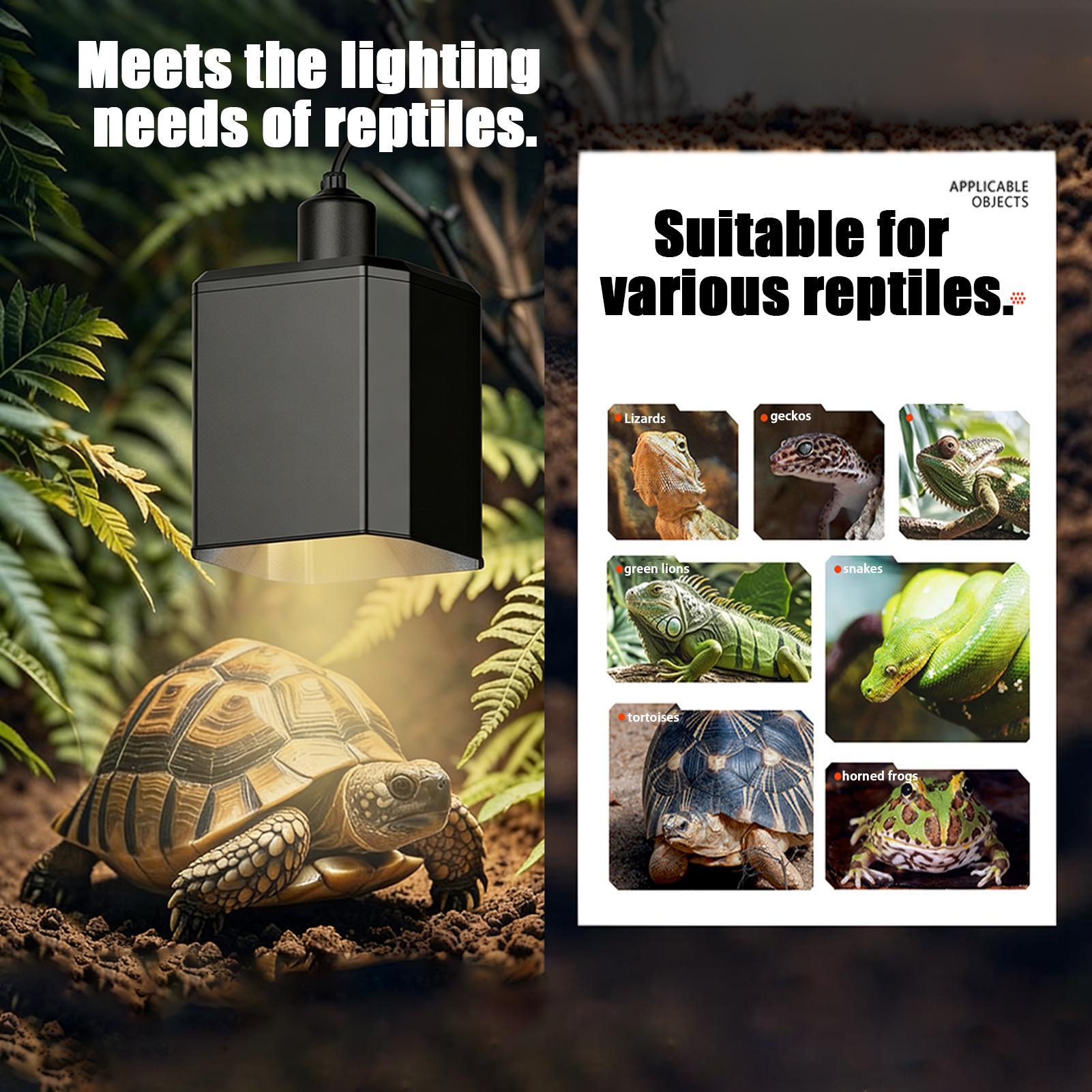 Osłona na lampę grzewczą dla g – Gecko Lighting & Decor recenzja i cena