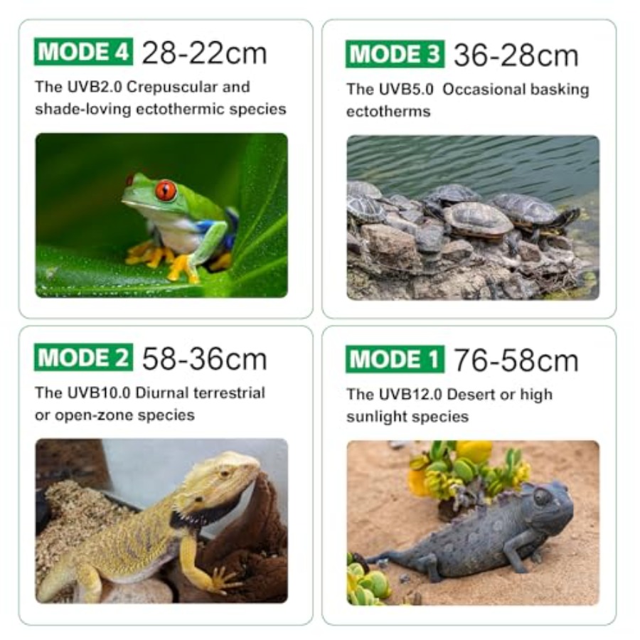 Światło UVB dla gadów z regula – Gecko Lighting & Decor recenzja i cena